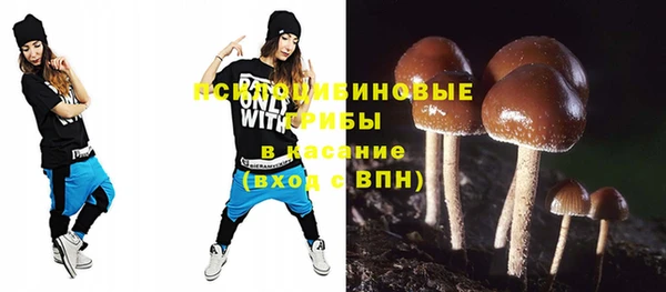 не бодяженный Приозерск
