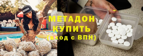 шишки Гвардейск