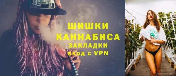 шишки Гвардейск