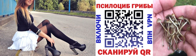 Псилоцибиновые грибы MAGIC MUSHROOMS  маркетплейс наркотические препараты  Тбилисская  kraken как зайти 